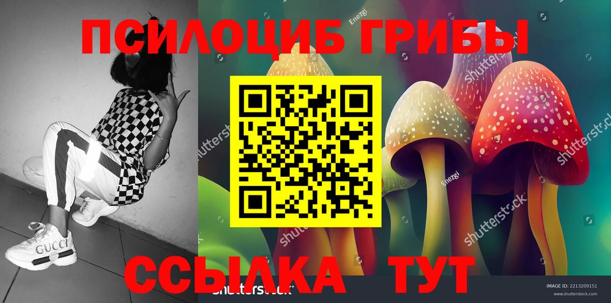 Галлюциногенные грибы Psilocybe  Псилоцибиновые грибы MAGIC MUSHROOMS  Вход с VPN  Усть-Илимск 
